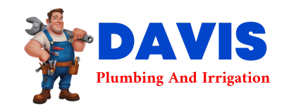 Trusted plumber in FIVE POINTS